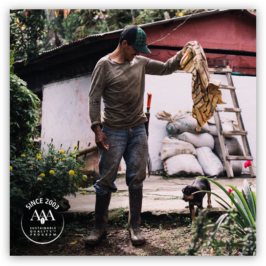Humberto Galeano, fermier colombien pour Nespresso AAA